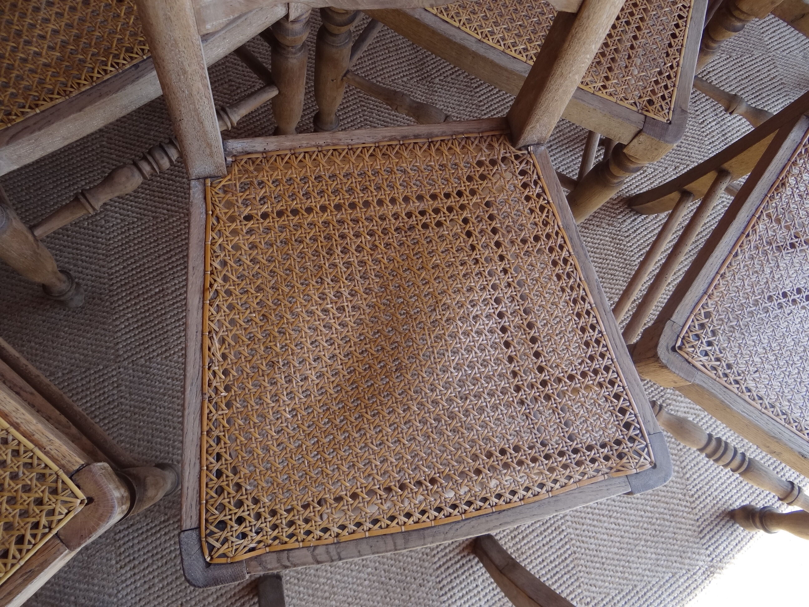 Suite of oak chairs; canated seats