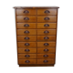 German apothecary's cabinet in oak mid-twentieth century