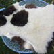Sheepskin