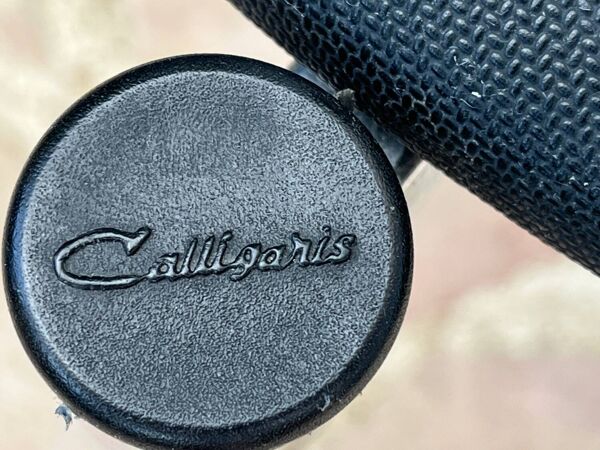 Paire de chaises Design Calligaris