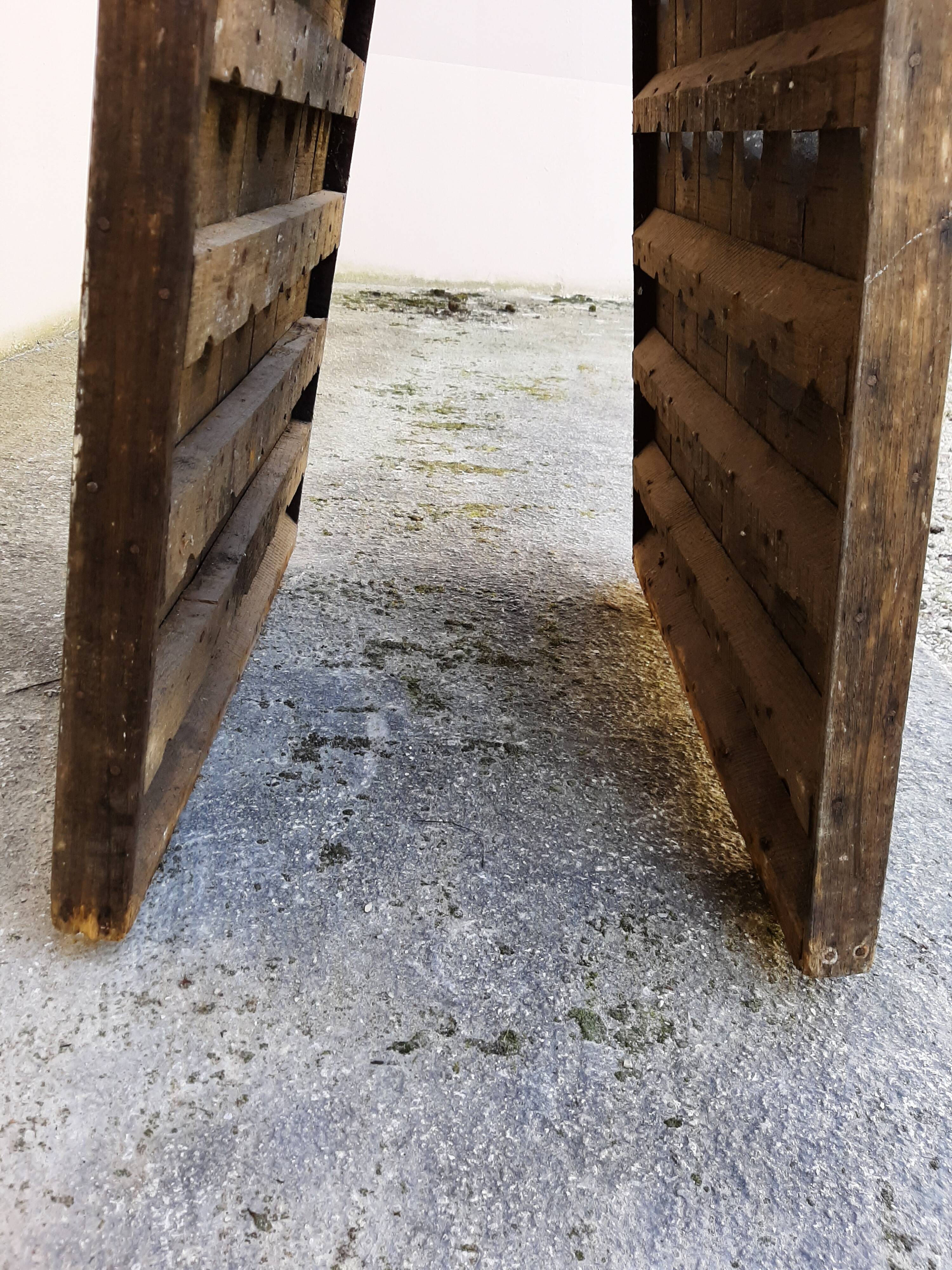 Bottled holder for champagne bottles 1900