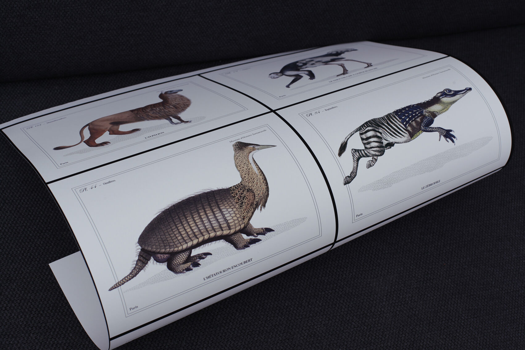 3 chimeras lithograph animal engraving