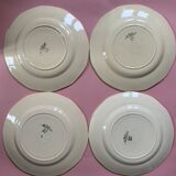 Flat plates Sarreguemines