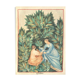 Vintage Lithography , The Sage Picking
