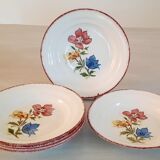 Hollow earthenware plates from Saint Amand Ceranord Vintage Maïté Model