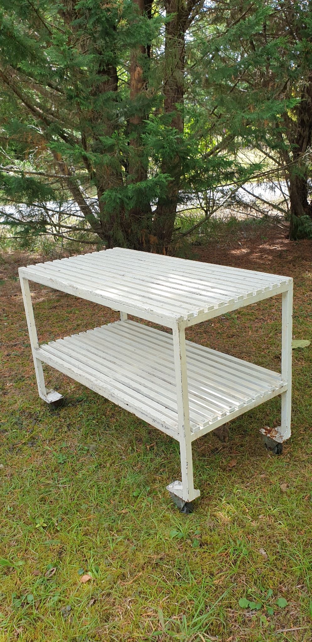 Butcher's trolley, professional furniture