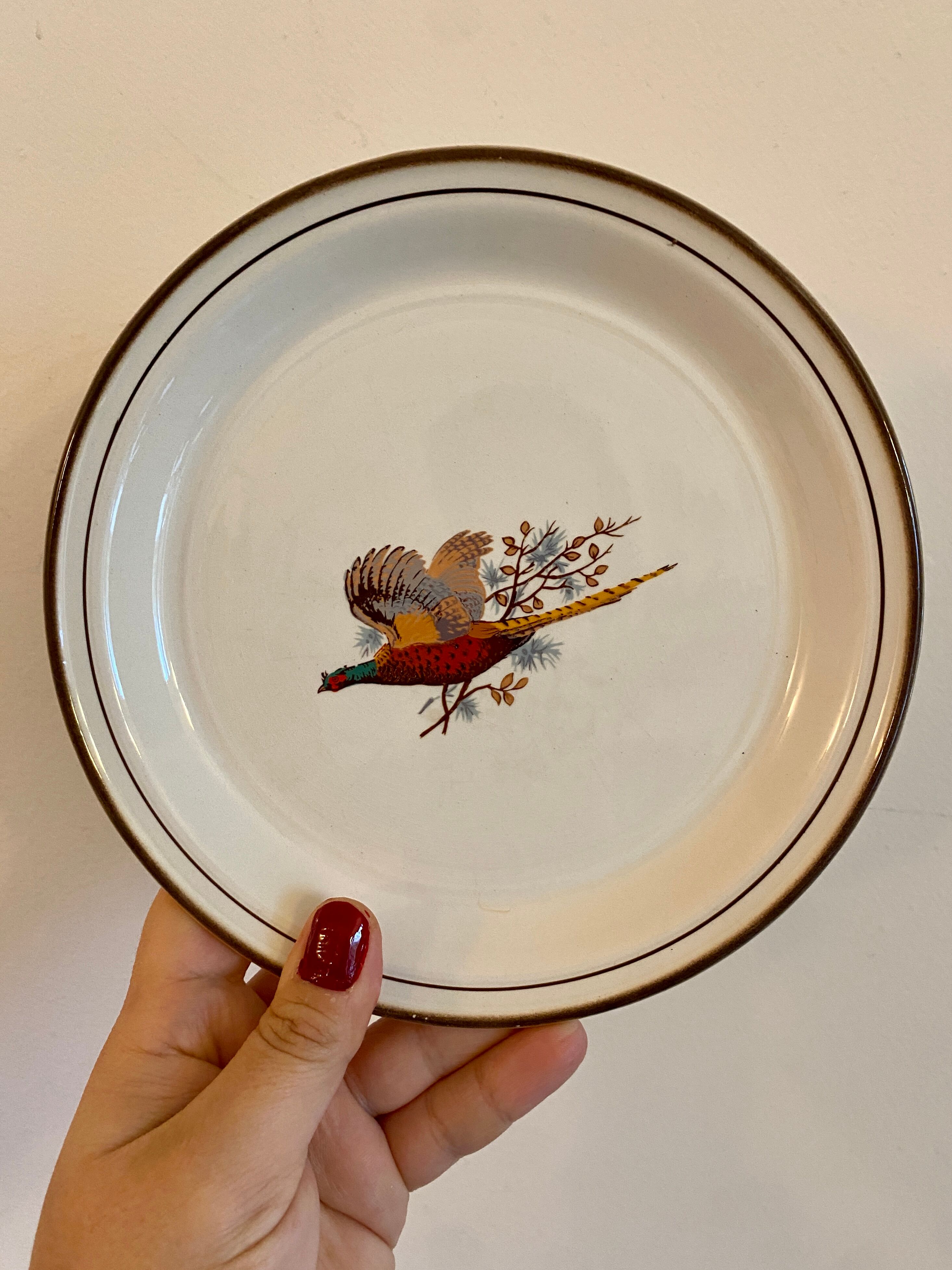 Set of 5 vintage plates