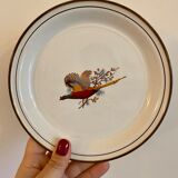 Set of 5 vintage plates
