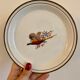 Set of 5 vintage plates