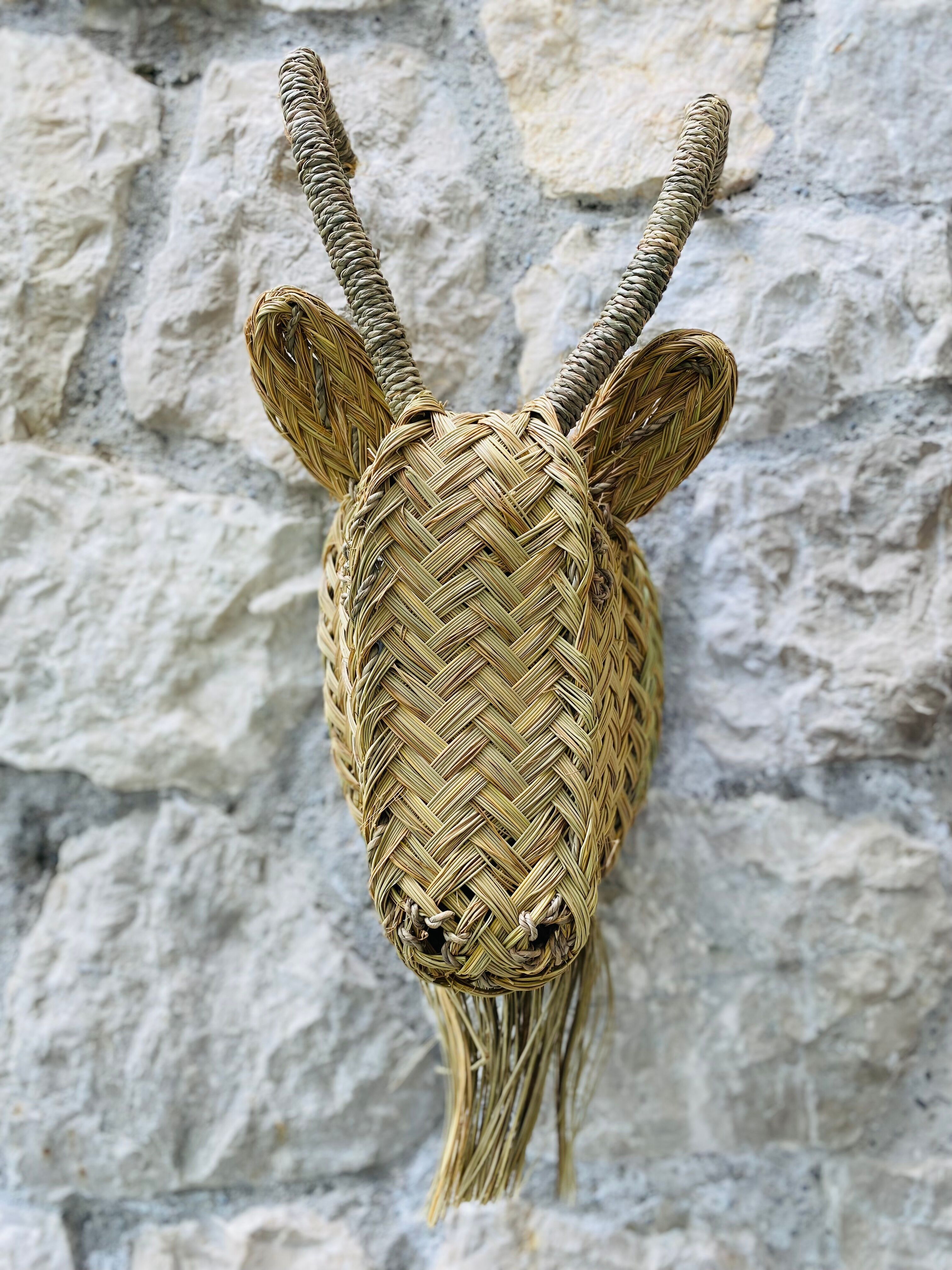 Trophy animal head in palm leaves - Buffalo