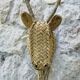 Trophy animal head in palm leaves - Buffalo