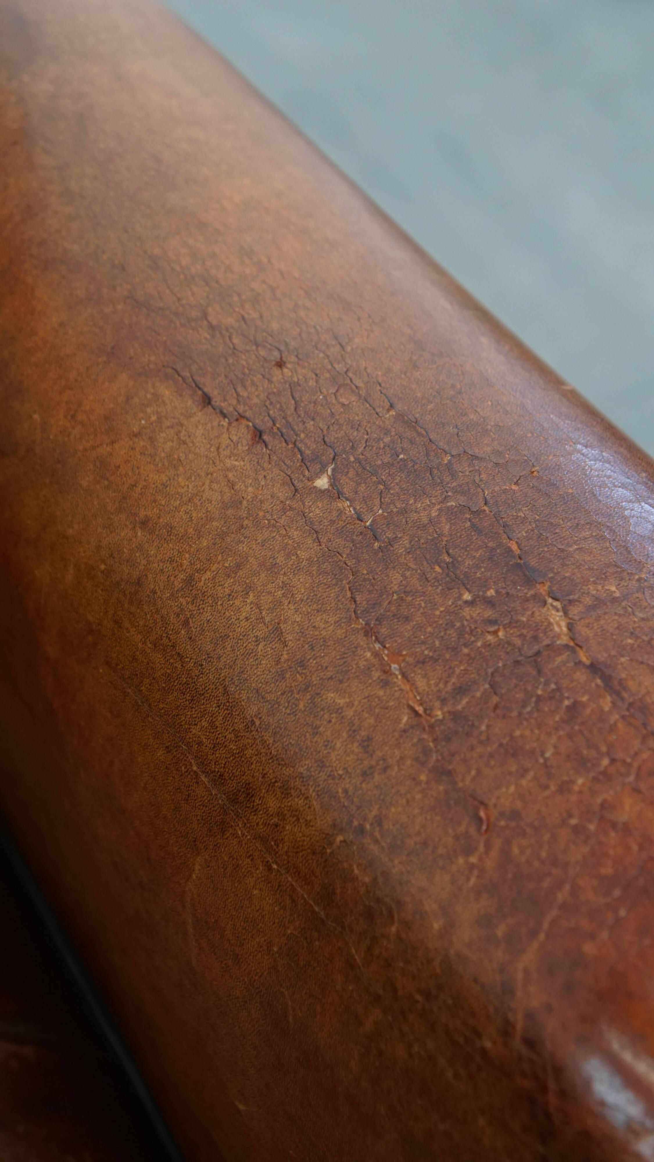 Sheepskin leather armchair in a cognac color with black piping