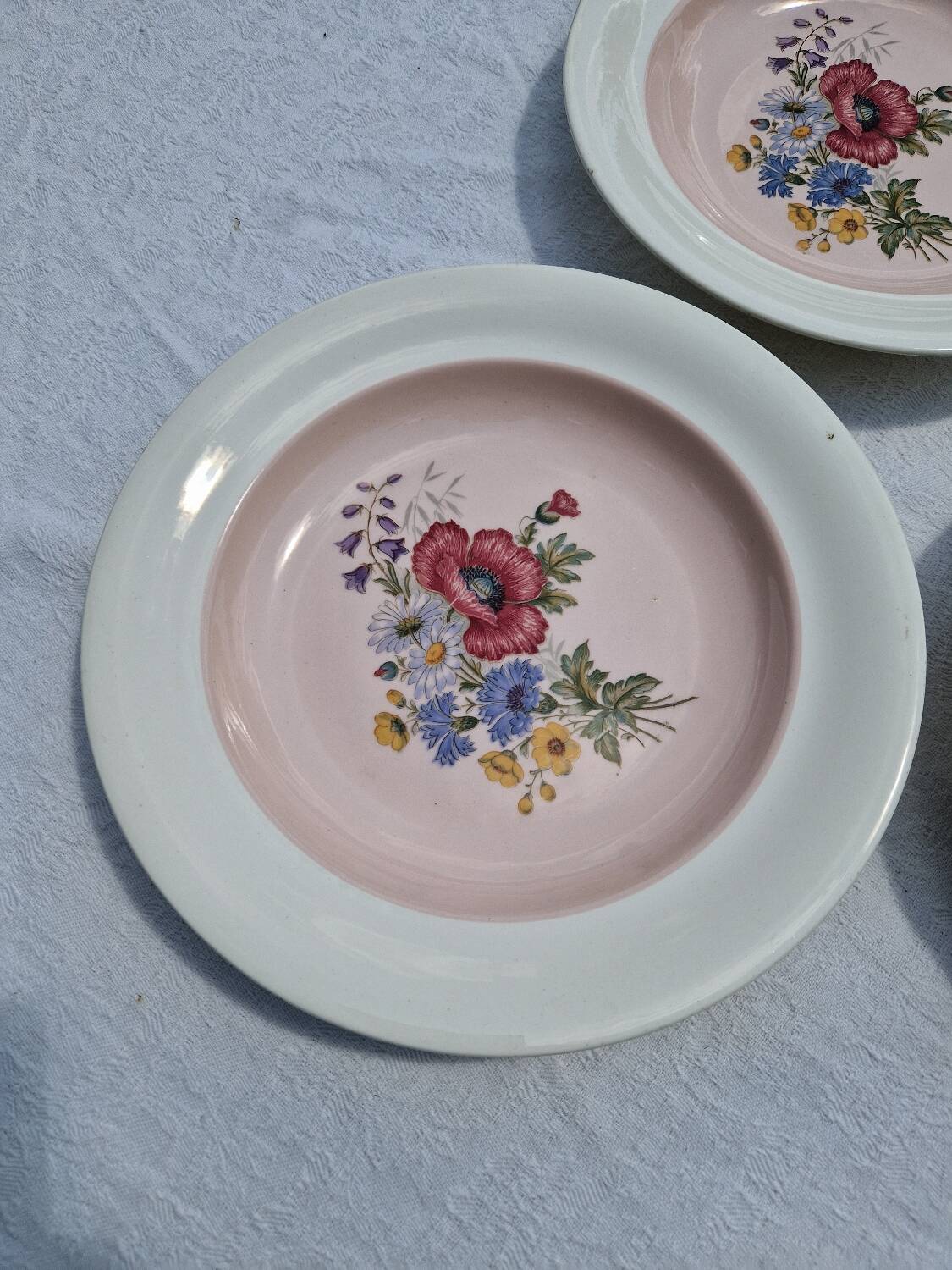 10 Vintage Villeroy & Boch Soup Plates Model 1584