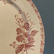 Set of 4 old flat plates Terre de Fer, earthenware of Badonviller