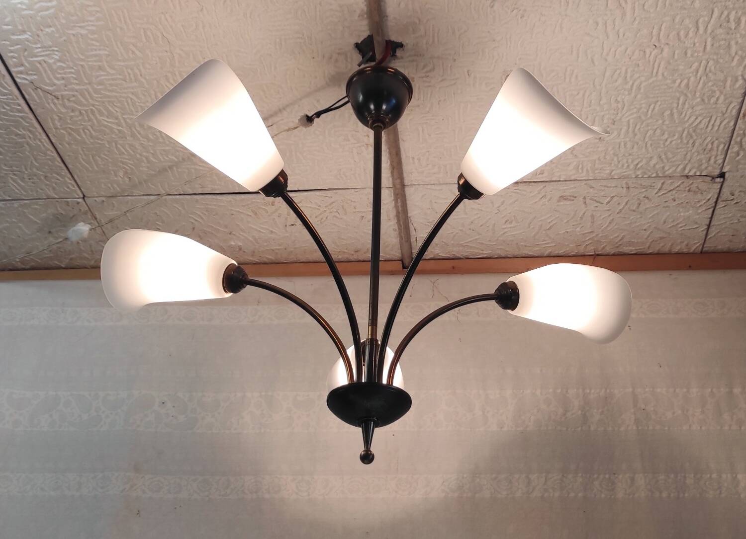 5-light chandelier in metal and opaline - mid-20th century