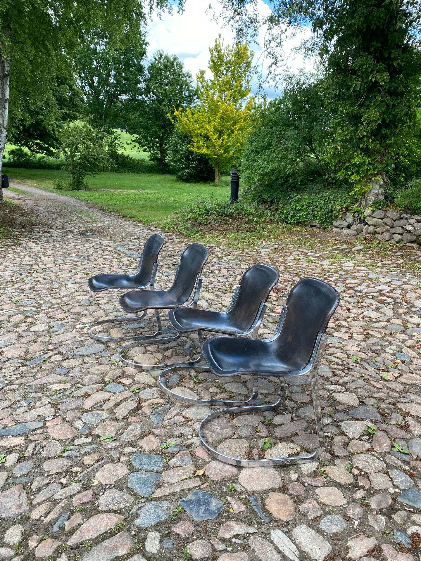 Dining chairs by Willy Rizzo