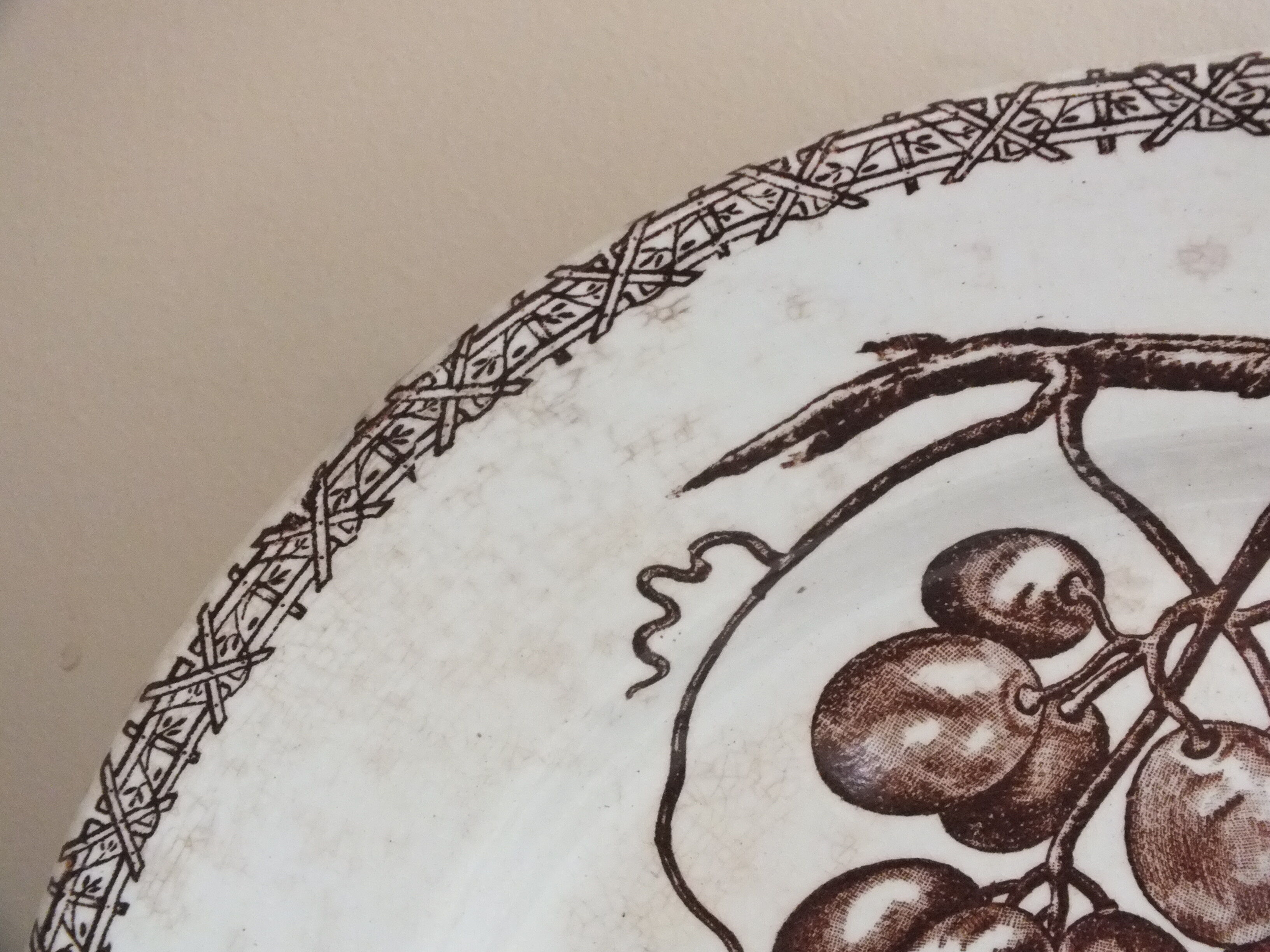 Round dish n°3 Choisy le Roi en Terre de Fer decoration fruits and insects