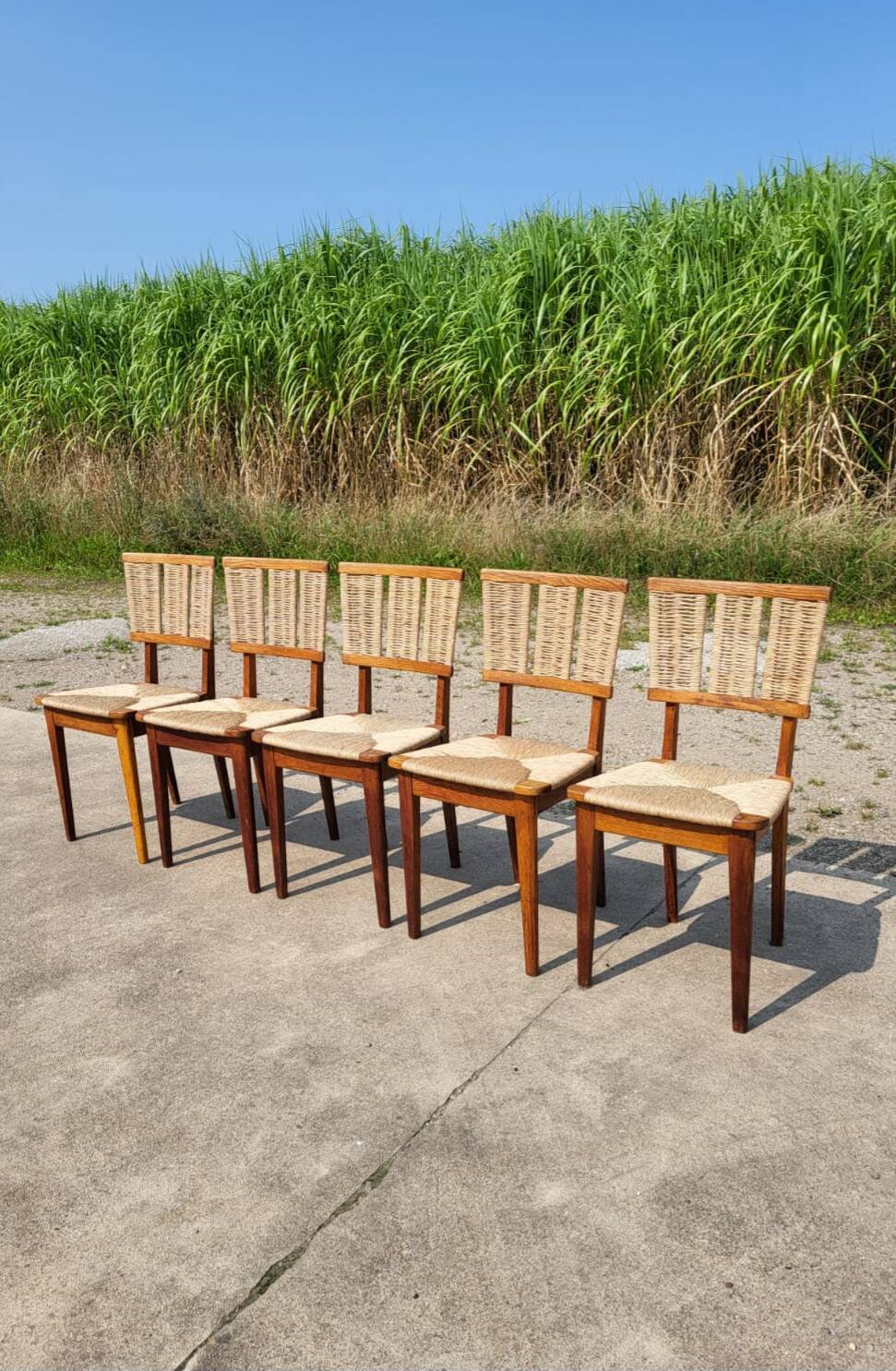 Set 6 vintage Dutch Design chair Mart Stam a2-1 wood rush rustic 1947