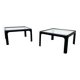 Mid-century vintage coffee table in glass by Peter Ghyczy for Horn Collection, 1960s, set of 2.