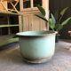 Cast iron planter pot