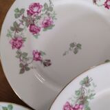 Old plates