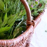 Large old basket in real chestnut