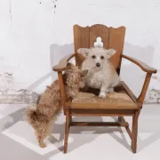 Pair of brutalist oak throne chairs with rush seats – Netherlands, 1930s