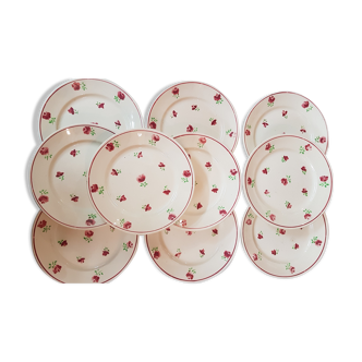 Suite of 10 earthenware plates from Badonviller