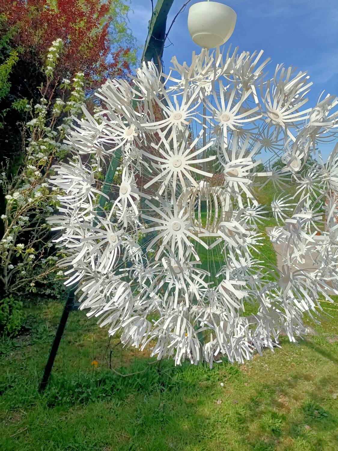 Dandelion pendant light