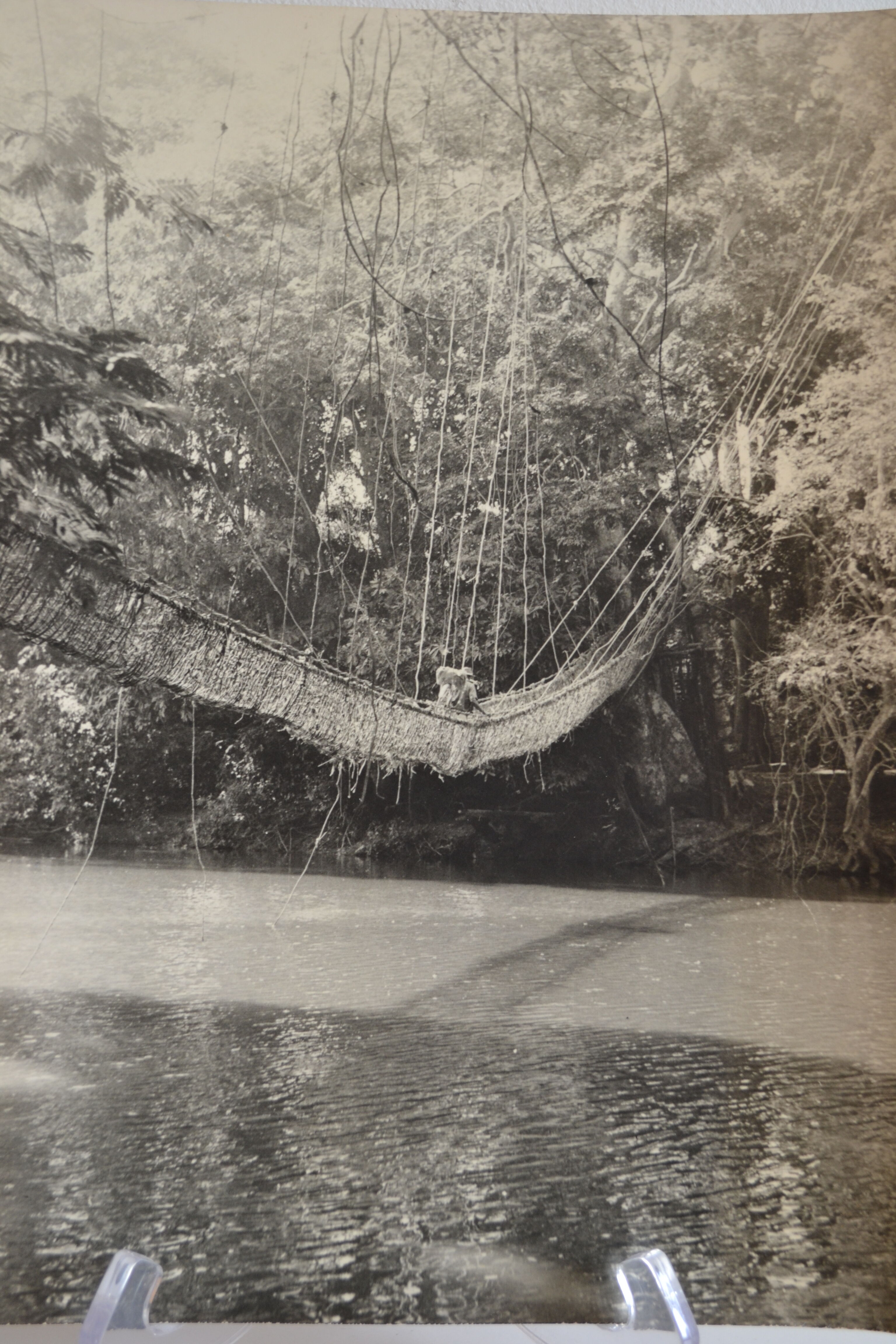Anonymous silver photo africa gabon lianes bridge circa 1970