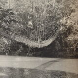 Anonymous silver photo africa gabon lianes bridge circa 1970