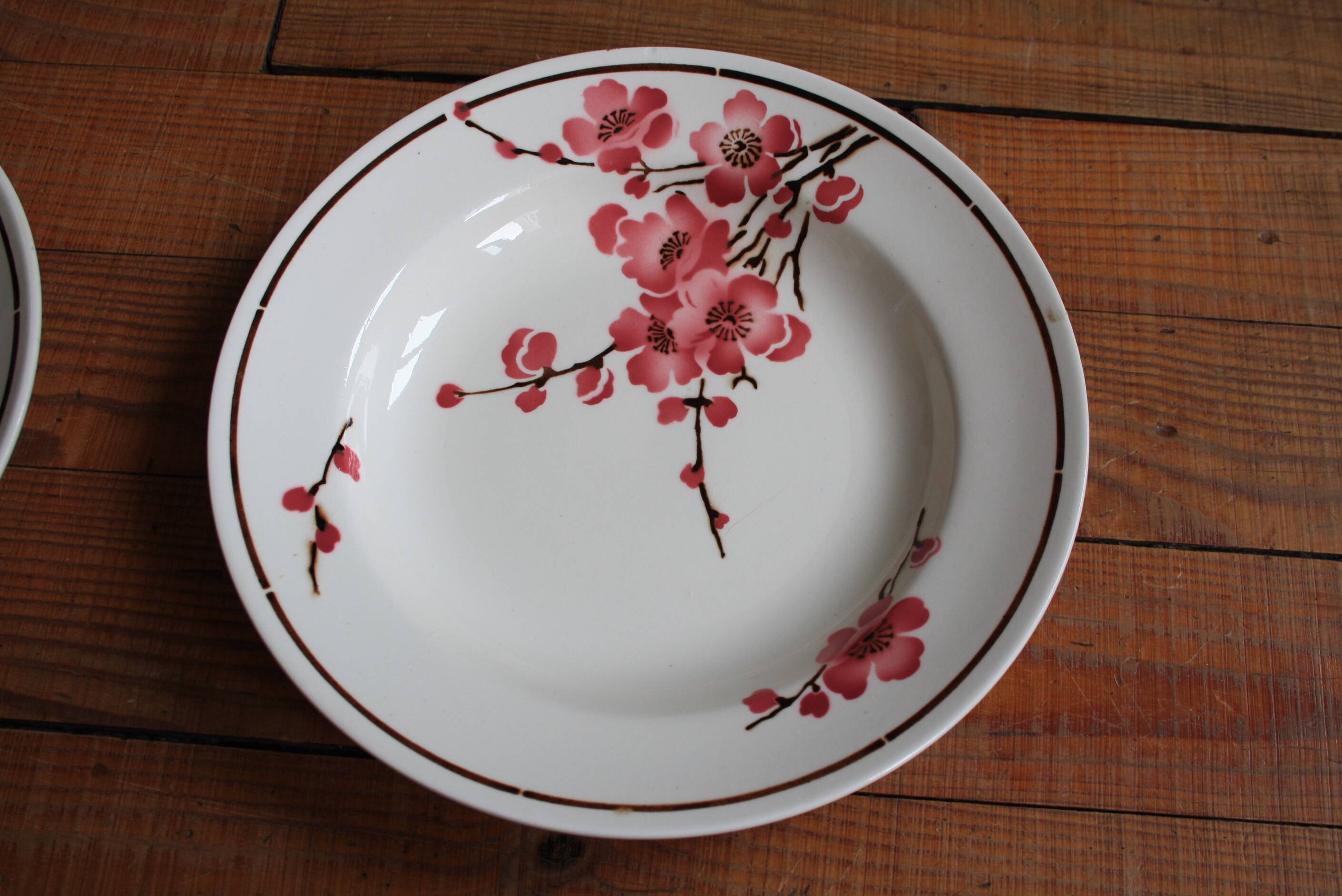Set of 6 Terre de Fer St Amand "cherry" deep plates