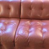 Roche Bobois leather sofa Blogger model