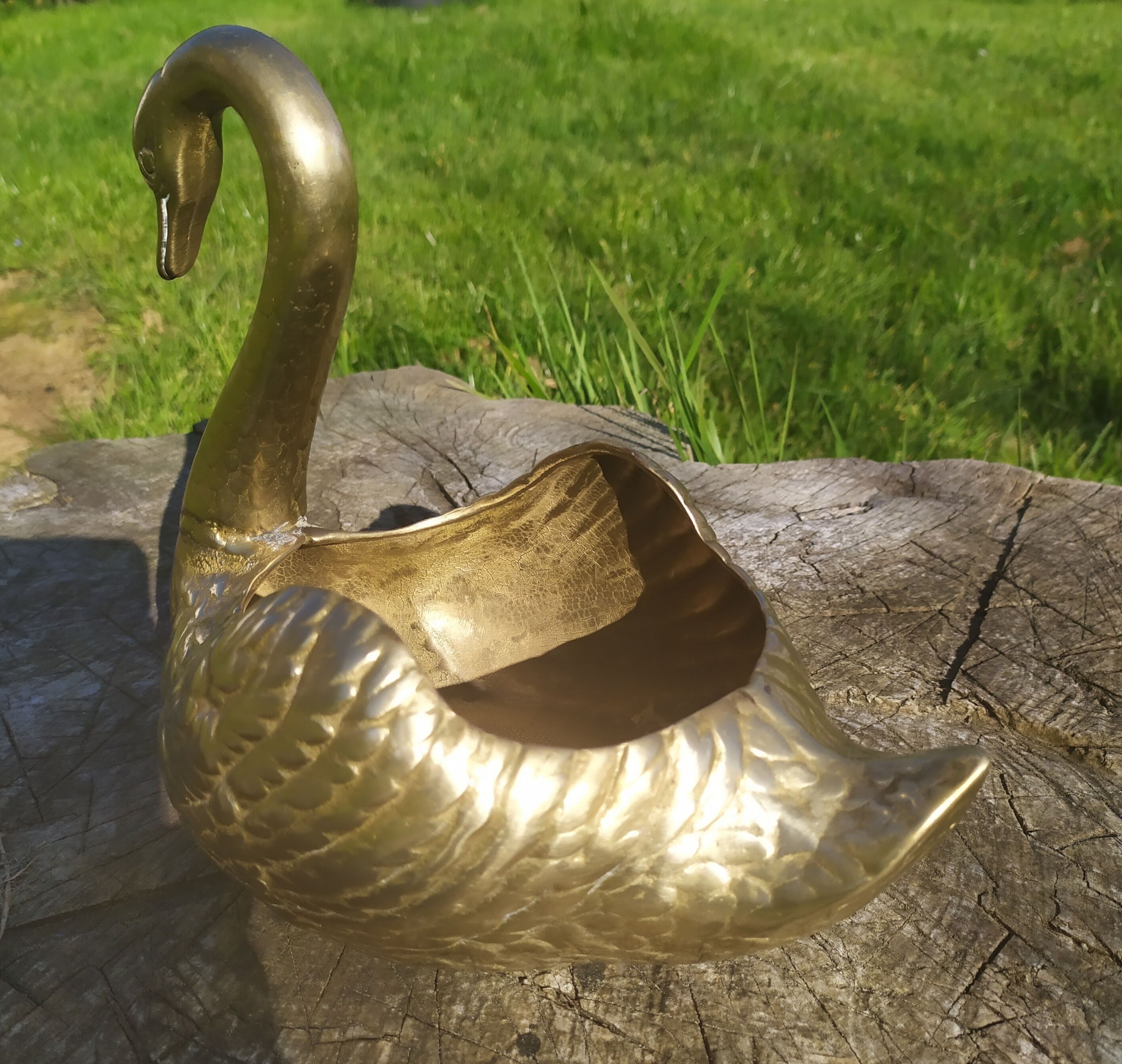 Brass swan