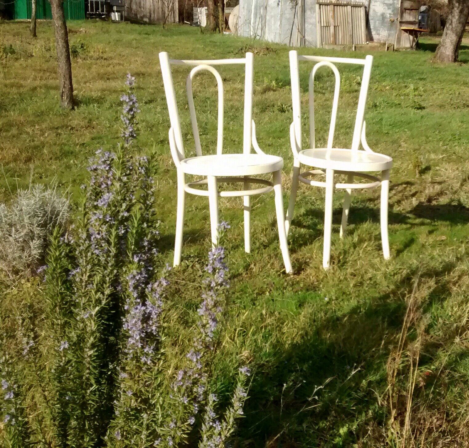 Pair of bistro chairs