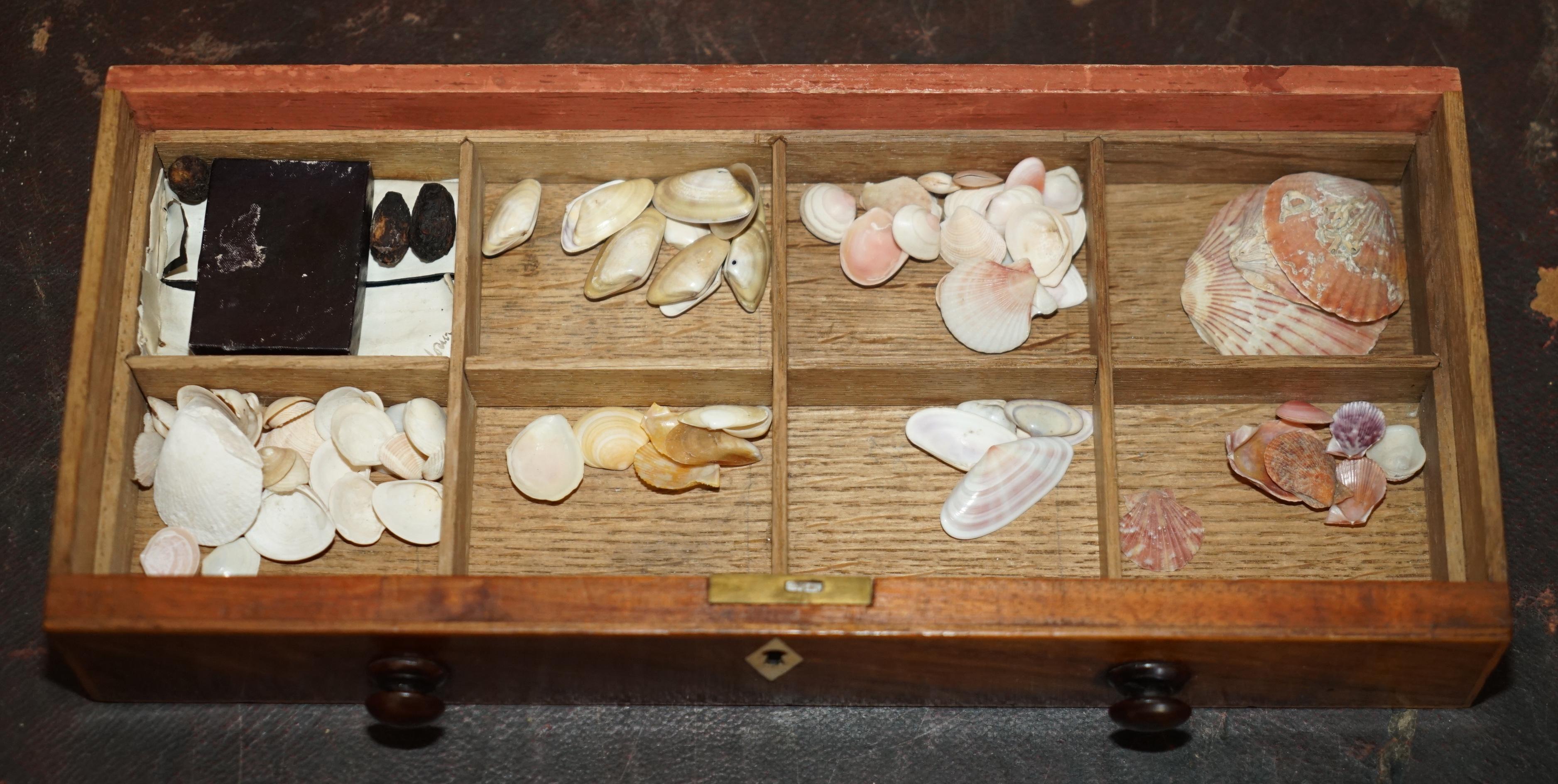 Antique Georgian sampling commode circa 1780-1820