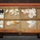 Antique Georgian sampling commode circa 1780-1820