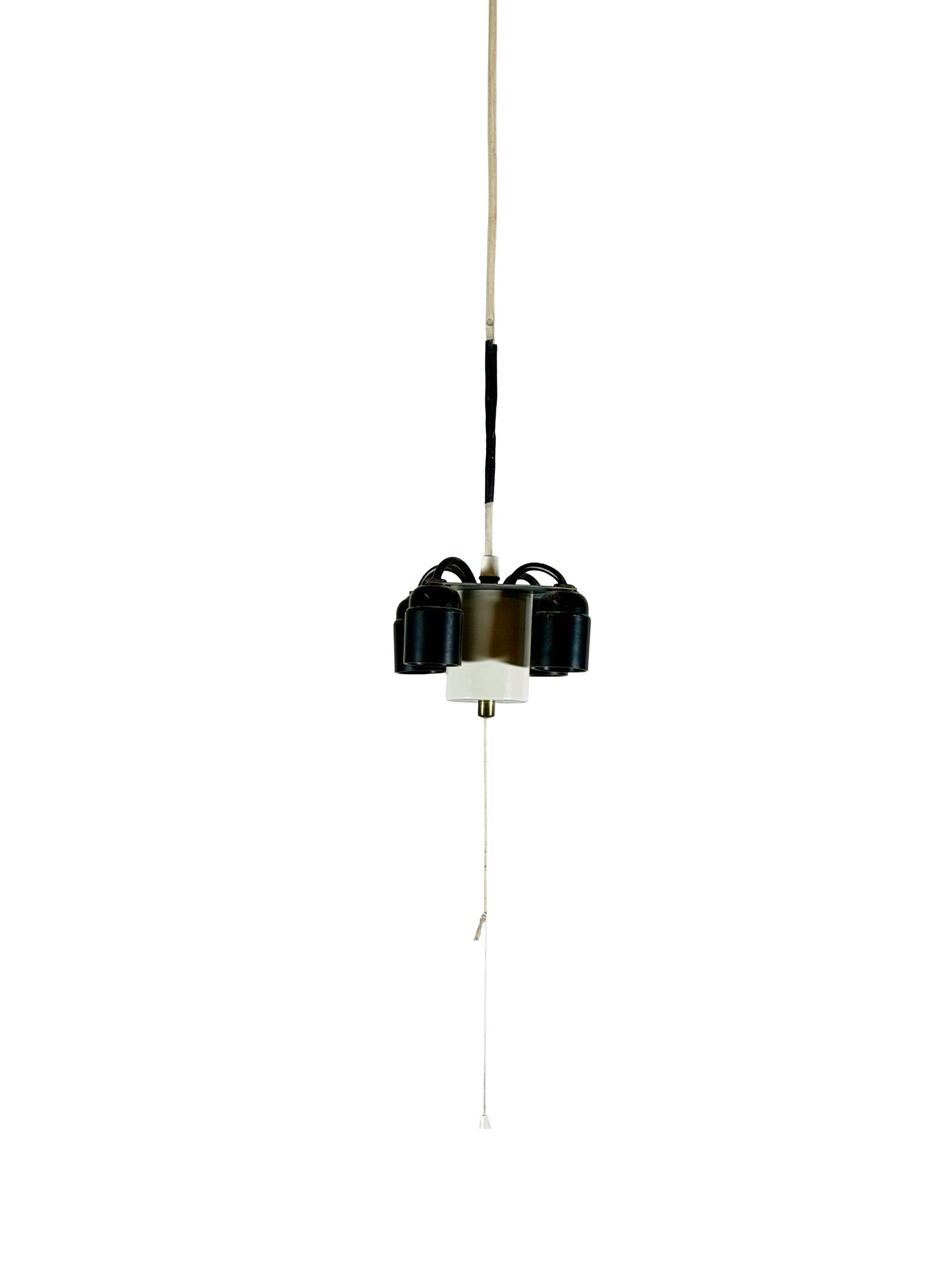 1960s 197070s Tulip Chandelier by J.T. Kalmar for Kalmar Austria