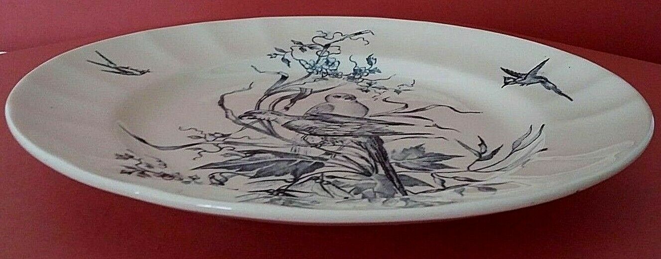 Plate Longchamp Earth model railway scenery parakeets Congo