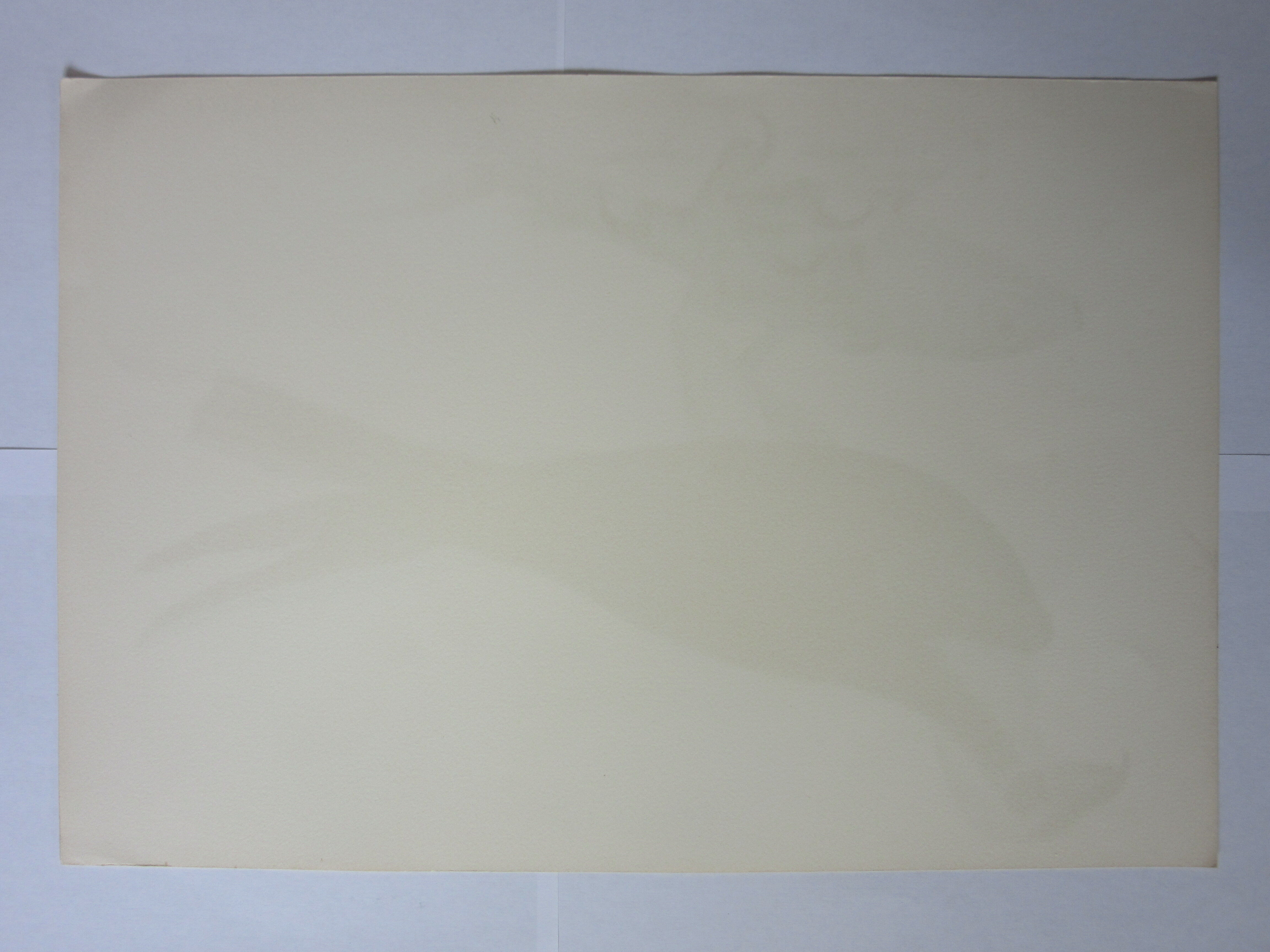 Engraving bird, falcon, repro Catesby/Seligmann