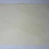 Engraving bird, falcon, repro Catesby/Seligmann