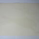 Engraving bird, falcon, repro Catesby/Seligmann