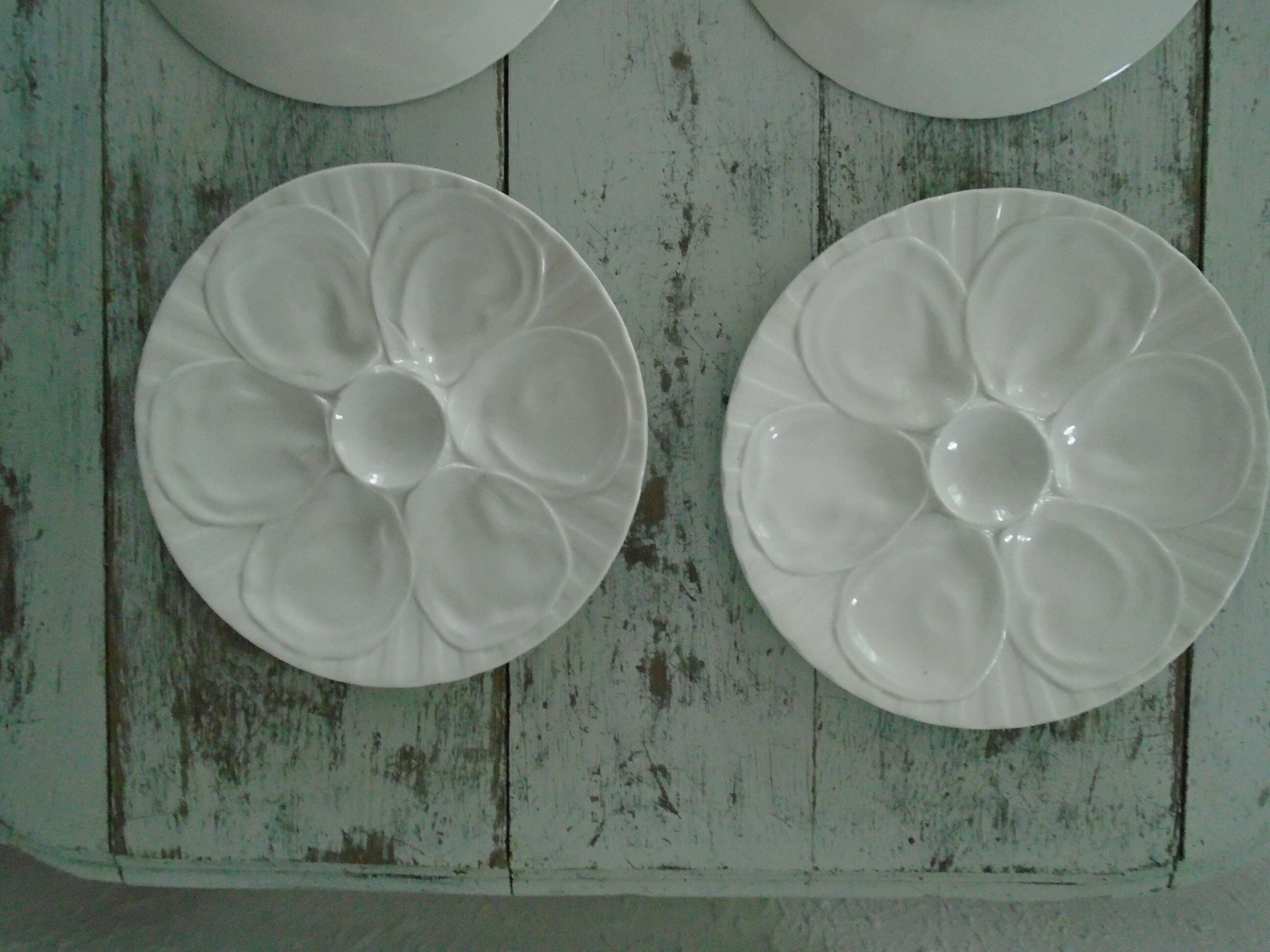 6 plates with white presentation oysters Pillivuyt France