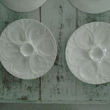 6 plates with white presentation oysters Pillivuyt France