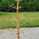 Brutalist coat rack on boxwood stand