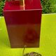 Vintage lamp foot, France 1970s, Maison Le Dauphin