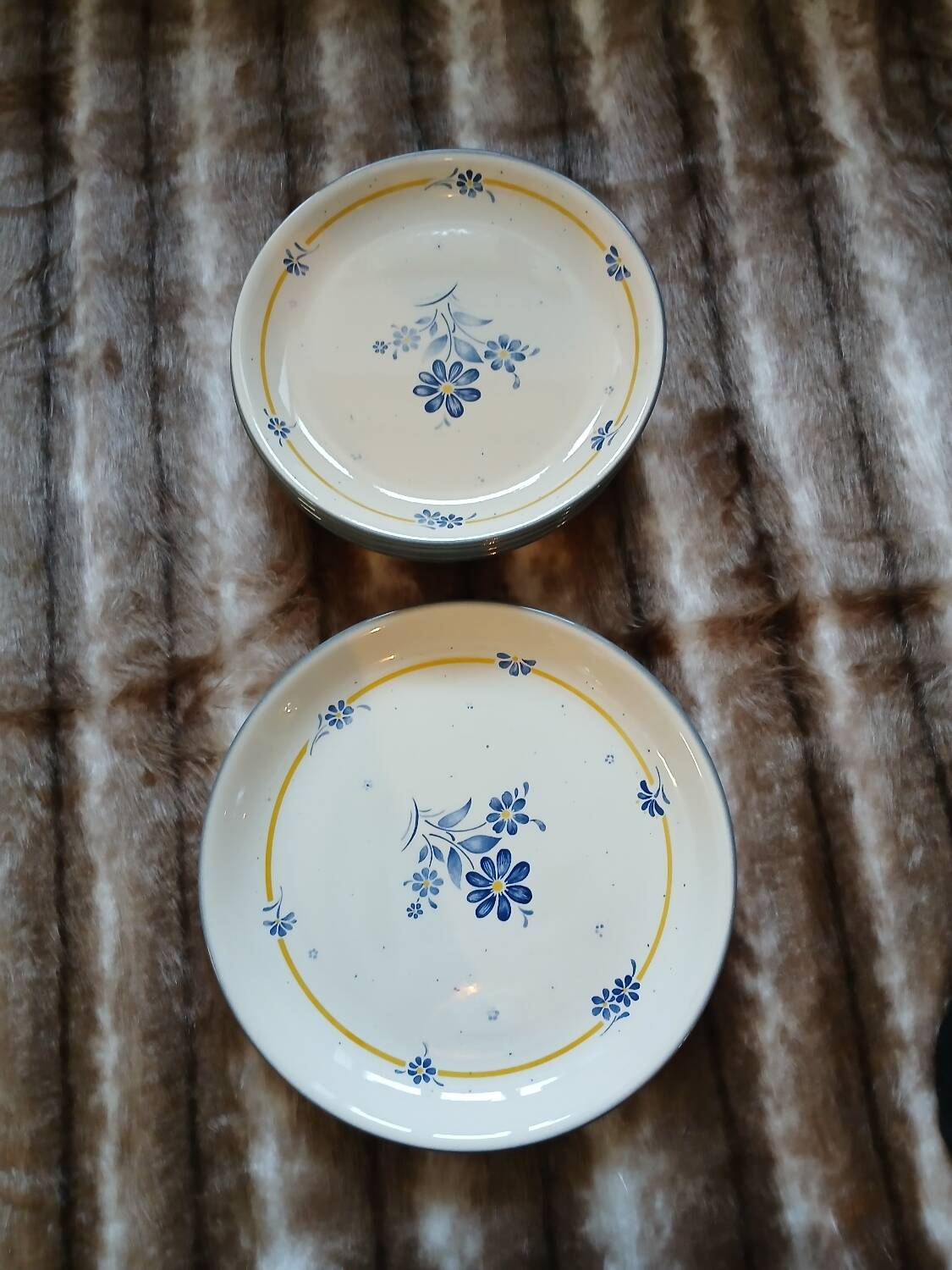 6 assiettes plates + 1 plat "Biltons " England 