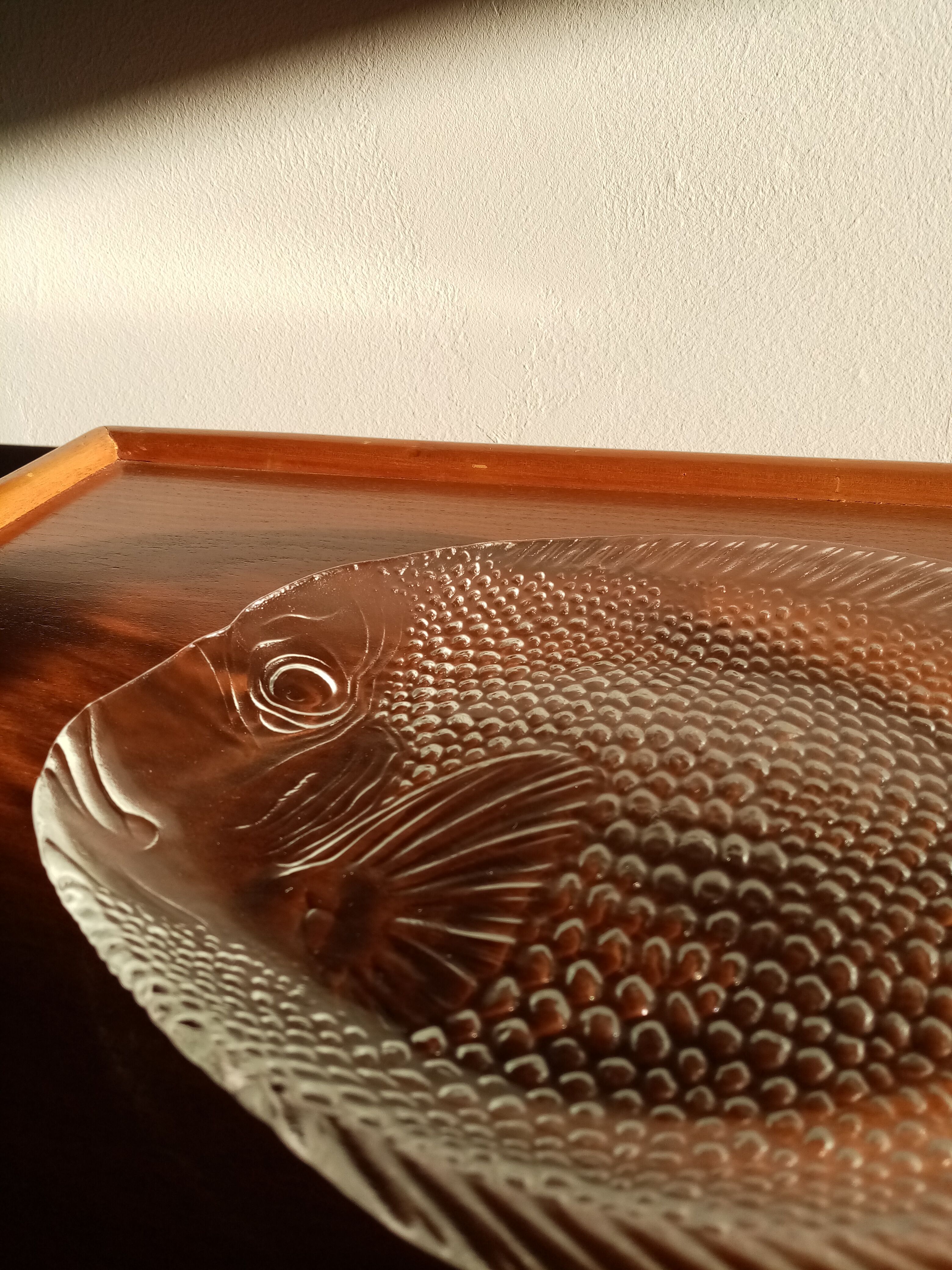 Arcoroc Fish Service