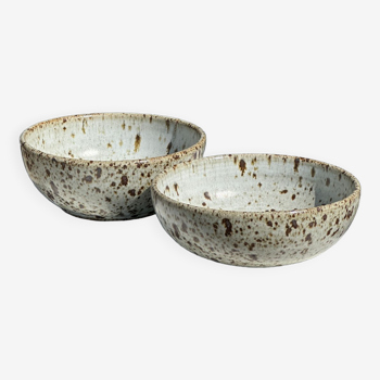 Duo of speckled ceramic bowls