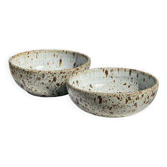 Duo of speckled ceramic bowls